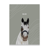 Custom Horse Portrait